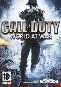 Call of Duty: World at War постер