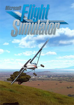 Microsoft Flight Simulator (2020) постер