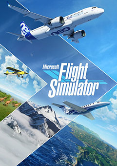 Microsoft Flight Simulator постер